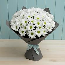 Букет цветов из:  Хризантемы #REPLACE_PRED# Левокумском