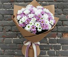 Букет цветов из:  Хризантемы #REPLACE_PRED# Левокумском