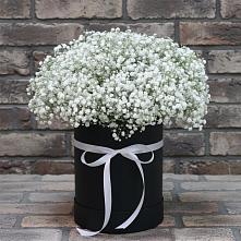 Цветочная композиция из Гипсофила в шляпной коробке в Левокумском
