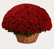 Премиум букет из: Розы в Левокумском