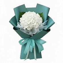 Букет цветов из:  Гортензия #REPLACE_PRED# Левокумском